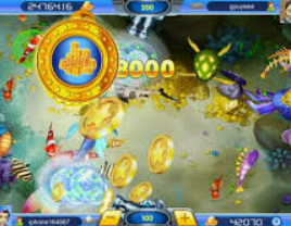 云开足球平台2024最新版